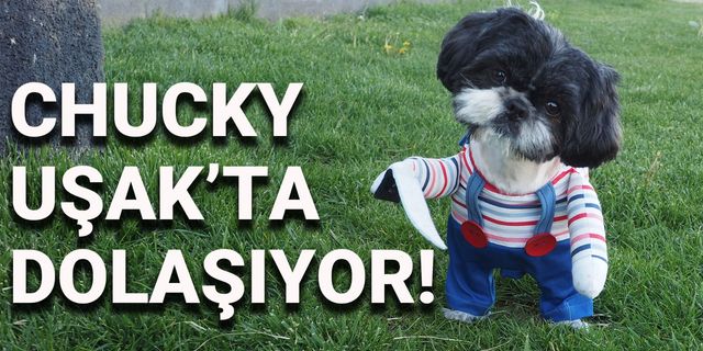 Chucky Uşak’ta Geziyor