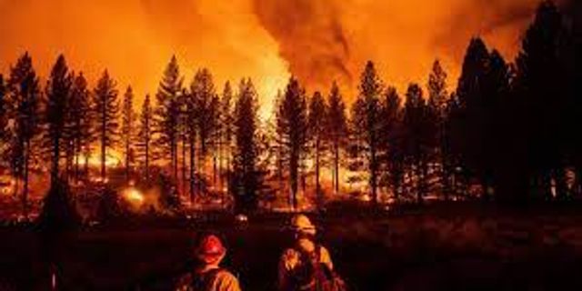 Küresel ısınma nedeniyle orman yangınları daha erken başlıyor ve daha uzun sürüyor
