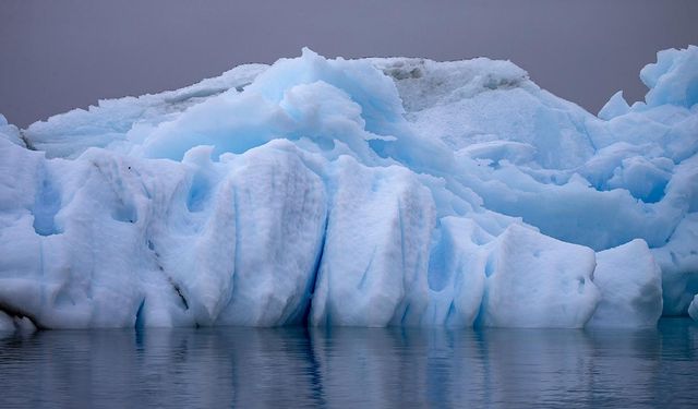 Kuzey Kutbu'nda plastikleri parçalayan mikroorganizmalar keşfetti