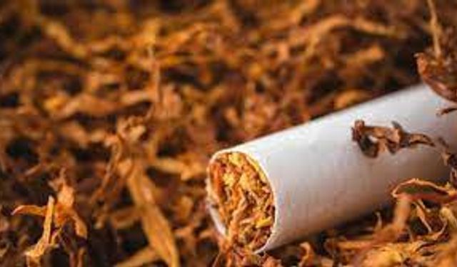 Afyonkarahisar'da 91 bin 400 makaron yakalandı