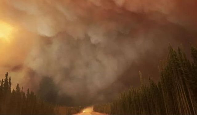 Kanada'da devam eden orman yangınlarında 3 milyon hektarlık alan zarar gördü