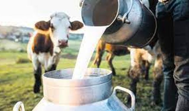 Çiğ süt üreticisine 5 yılda ciddi para verildi
