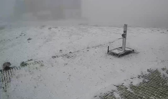 Kayak ve snowboard yapanlar kolunu veya omzunu incitmemek için neler yapmalı?