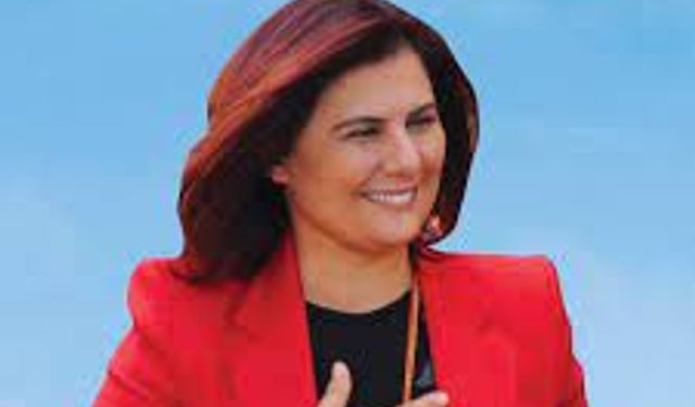 Özlem Çerçioğlu Kimdir?
