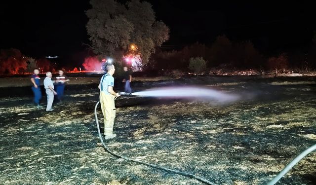 İzmir Aliağa'da ziraat ve otluk alanda çıkan yangın kontrol altına alındı