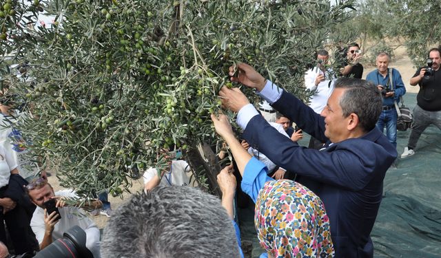 CHP Genel Başkanı Özel, Manisa'da zeytin şenliğine katıldı