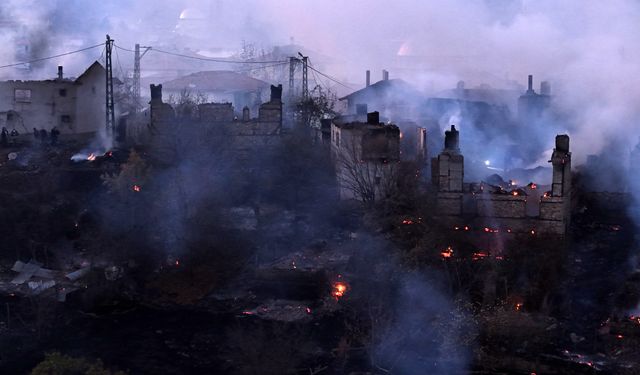 Kütahya'da 7 ev ile 4 hayvan barınağı ve samanlık yandı