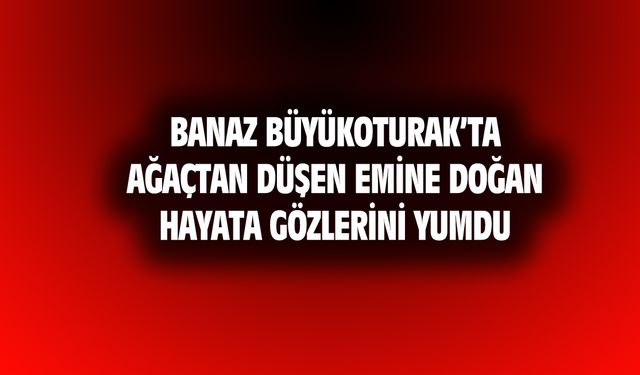 Banaz Büyükoturak'ta ceviz ağacından düşen Emine Doğan hayatını kaybetti