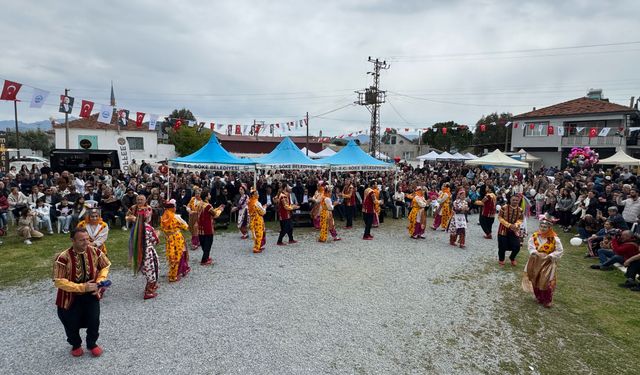 Söke'de yılan balığı festivali başladı