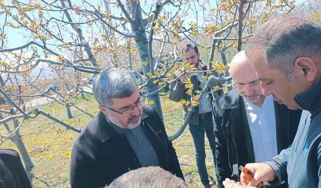 Afyonkarahisar'daki zirai don mağduru çiftçiye TKDK desteği sağlanacak!