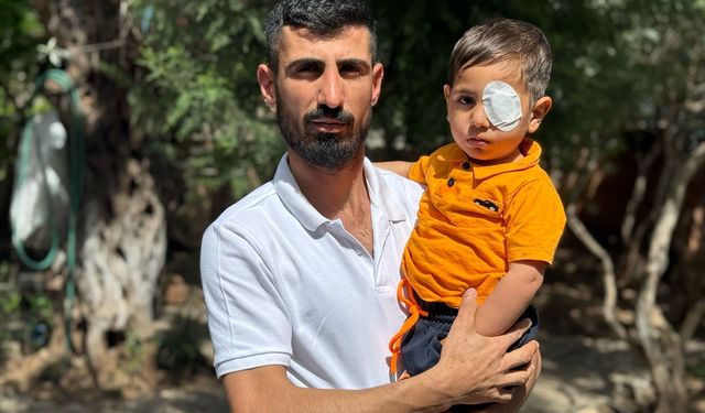 Söke Altburgazı'nda başıboş köpeklerin saldırdığı Yiğit Efe Çeken ölümden döndü