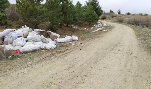 CHP Uşak Milletvekili Ali Karaoba'dan Akse Çamlığı'ndaki kötü görüntülere çözüm için destek istedi