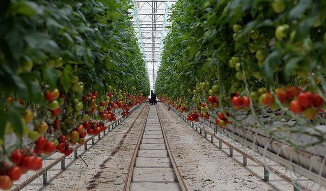 Uşak'ta hayata geçecek dev yatırım, 2100'ü kadın toplam 3000 kişiye iş imkanı sağlayacak