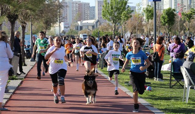 İzmir'de traktör devrildi, altında kalan sürücü hayatını kaybetti!