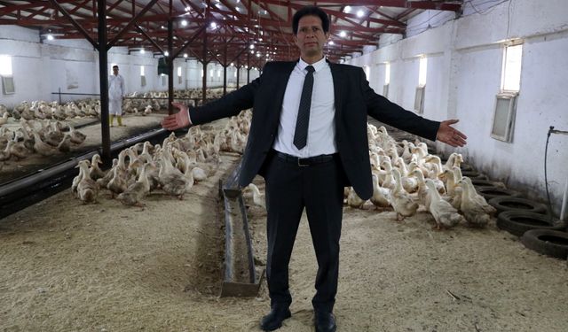 Mısır'dan geldi, Kütahya'da Pekin ördeği yetiştiriyor