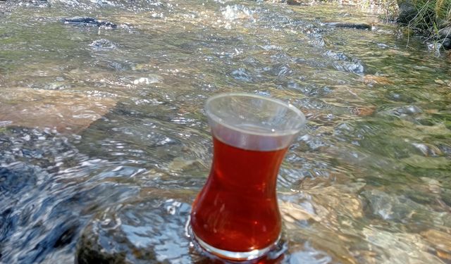 Uşak ve Gediz'e bahşedilen bu lüks ve nimetler yok olmasın!