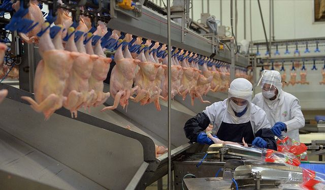 Uşak'tan Gedik Piliç ve Özerdem Mensucat, en büyük 500 kuruluş arasına girdi