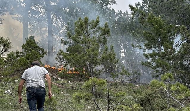 Denizli'deki orman yangını söndürüldü
