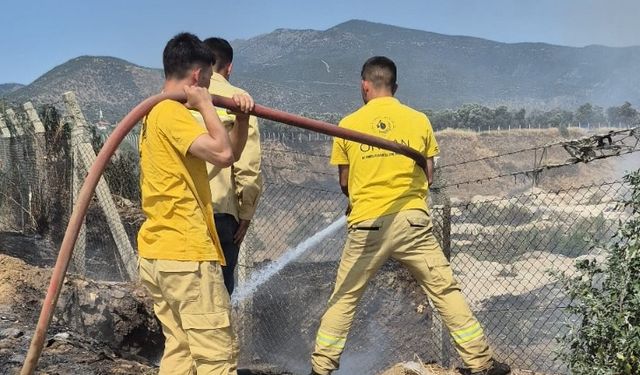 Bayındır'daki çöplük yangını söndürüldü