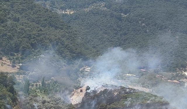 Kemalpaşa'da çıkan orman yangınına müdahale ediliyor