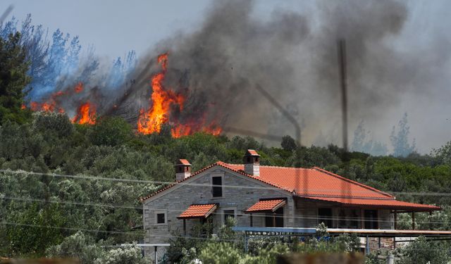 Foça'daki orman yangınına kaynak sebep olmuş!