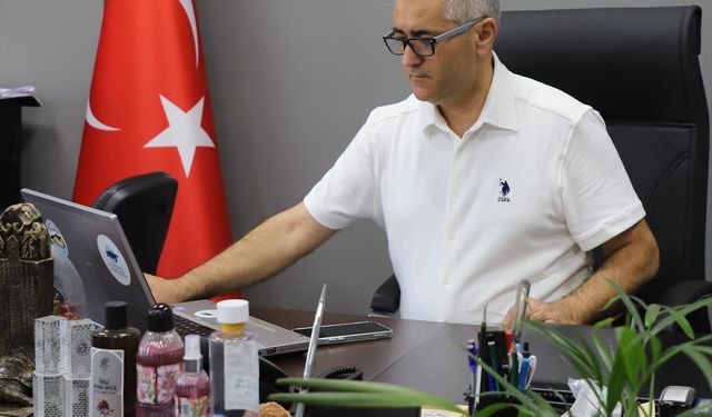 İzmir'de cihaz takılan kaplumbağalardan sinyal alınmıyor