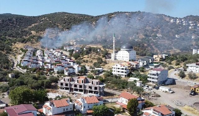 İzmir'de iki farklı bölgede çıkan yangın söndürüldü