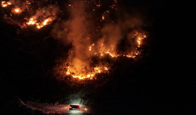İzmir Aliağa Horzgeçidi'nde başlayıp Foça'ya sıçrayan yangına müdahale sürüyor