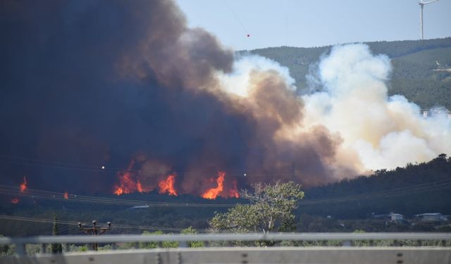 İzmir Bornova'da tarım arazisinde başlayan yangın ormana sıçradı