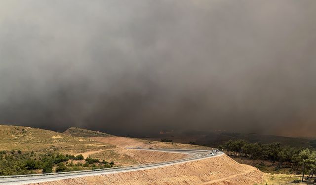 Manisa Akhisar'da orman yangını !