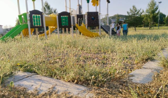 Uşak'ta oyun parkındaki çocuklar diken üstündeler!