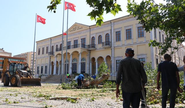 İzmir'de Kemeraltı Çarşısındaki asırlık çınar devrildi