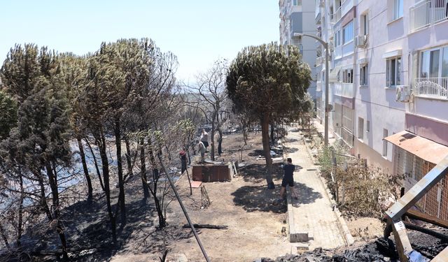 İzmir'de iki bölgede çıkan yangın söndürüldü