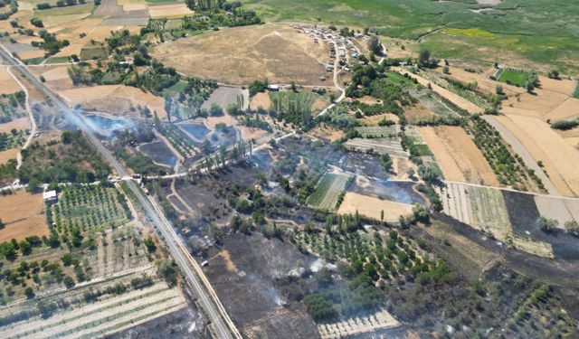 Afyonkarahisar'da tarım arazilerindeki yangın söndürüldü
