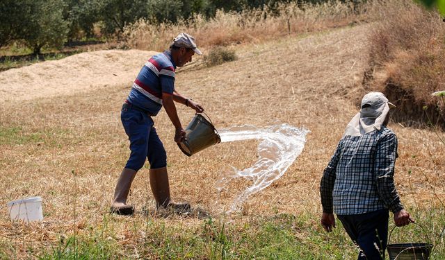 Ahmetli Dereköy sakinleri, kova ve hortumlarla orman yangınını söndürme çalışmasına destek veriyor