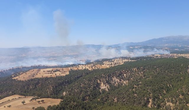 Gediz'deki orman yangını kontrol altına alındı
