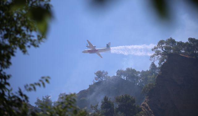 Aydın'daki yangın kontrol altına alındı