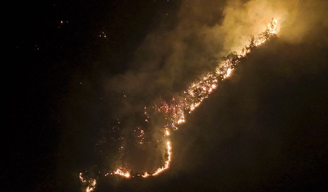 Uşak ve Manisa'daki orman yangınına havadan ve karadan müdahale sürüyor