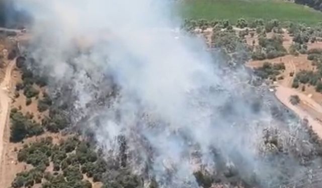 Muğla'da ziraat alanında çıkan yangın söndürüldü