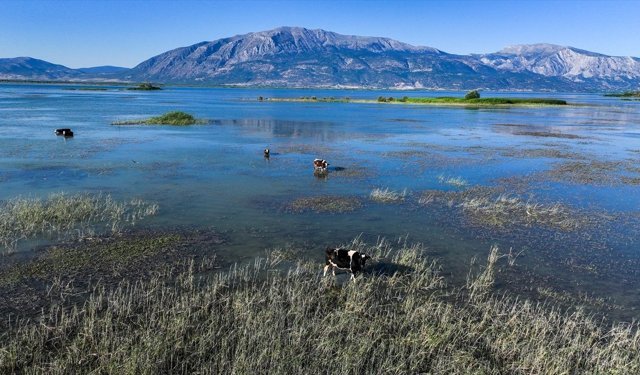 Uşak'ın komşusu Çivril'de belediyeye 7 memur alınacak!