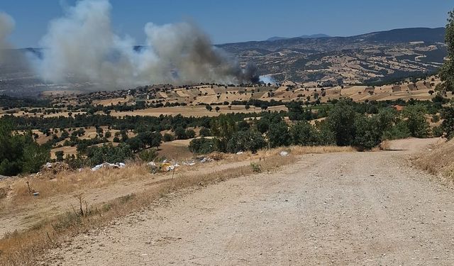 Gediz Yenikent Hamzabey mahallesinde yangın! Dumanlar Uşak'ı dahi kapladı!