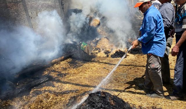 Muğla'da ziraat alanından ormana sıçrayan yangın kontrol altına alındı