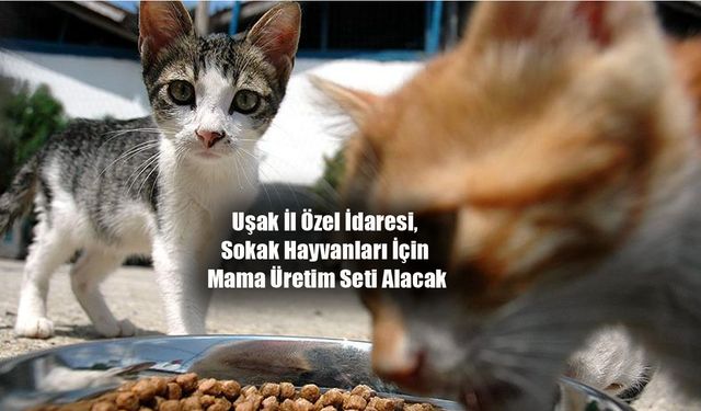 Uşak İl Özel İdaresi, Sokak Hayvanları İçin Mama Üretim Seti Alacak