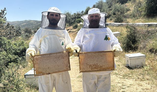 Afyonkarahisar'da baba oğlu kaliteli bal için çalışıyor