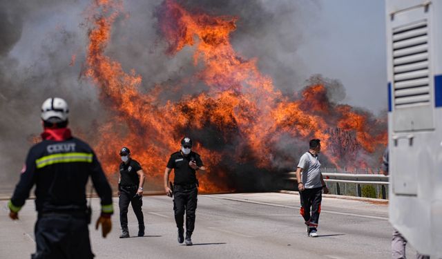 Çeşme'de çıkan orman yangınına müdahale sürüyor