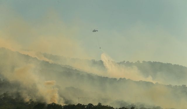 Eşme'nin Balabancı köyü yakınlarında orman yangını!