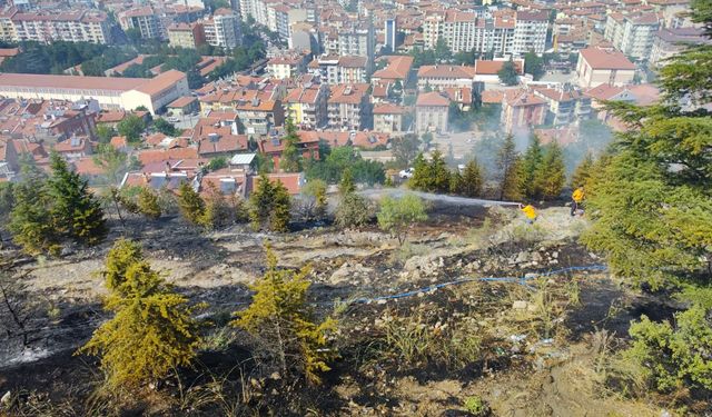 Afyonkarahisar'da ağaçlık alandaki yangın kısa sürede söndürüldü