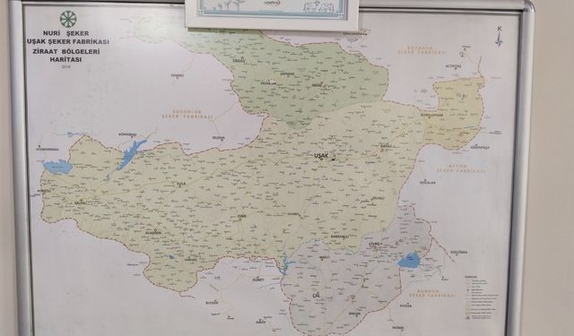 Gediz, Simav, Pazarlar, Çivril, Kula, Salihli ve Alaşehir üretimde Uşak'a bağlı