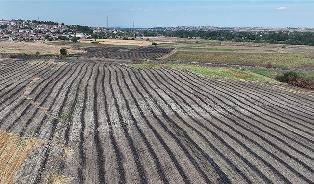 Anız yakımı memleketi çöle dönüştürdü