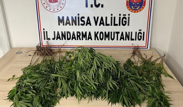 Salihli'de yasaklı maddeden 1 kişi tutuklandı